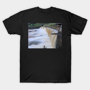 Watson Mill State Park Waterfall T-Shirt